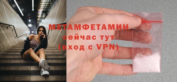 прущие грибы Покачи
