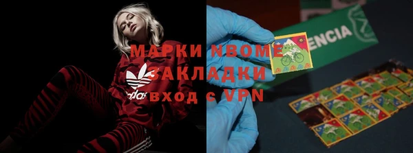 ГАЛЛЮЦИНОГЕННЫЕ ГРИБЫ Алзамай