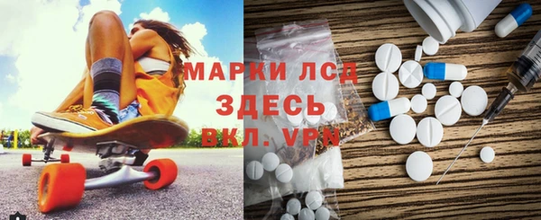 прущие грибы Покачи