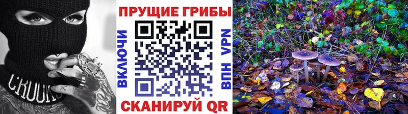 Галлюциногенные грибы ЛСД  Кола 